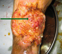 必发365(集团)兴趣网投天天必发
