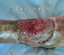 必发365(集团)兴趣网投天天必发