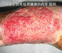 必发365(集团)兴趣网投天天必发