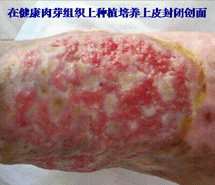 必发365(集团)兴趣网投天天必发