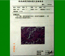 必发365(集团)兴趣网投天天必发