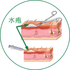 必发365(集团)兴趣网投天天必发