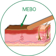 必发365(集团)兴趣网投天天必发