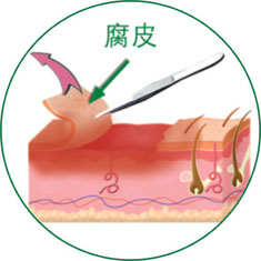 必发365(集团)兴趣网投天天必发