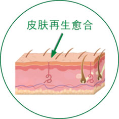 必发365(集团)兴趣网投天天必发