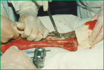 必发365(集团)兴趣网投天天必发