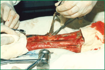 必发365(集团)兴趣网投天天必发