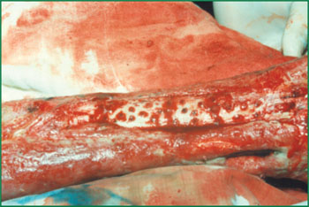 必发365(集团)兴趣网投天天必发