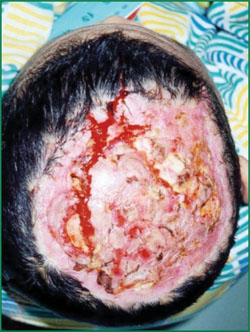 必发365(集团)兴趣网投天天必发