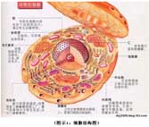 必发365(集团)兴趣网投天天必发